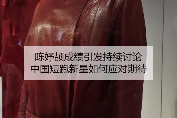 chen-yu-jie-cheng-ji-yin-fa-chi-xu-tao-lun-zhong-guo-duan-pao-xin-xing-ru-he-ying-dui-qi-dai-2-299.jpg